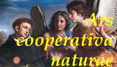  SITA Roma Società Internazionale Tommaso d'Aquino a Roma 